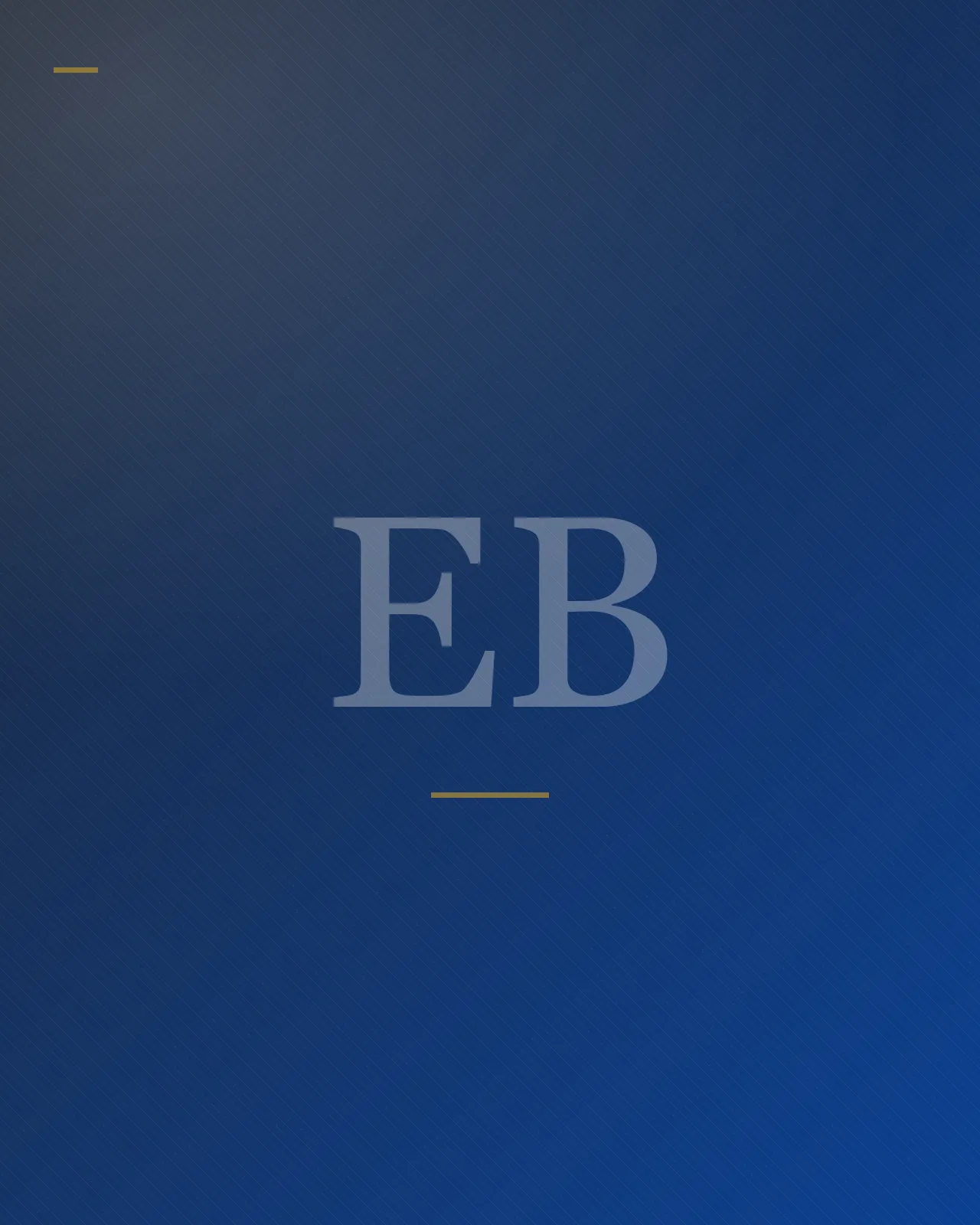 Brand artwork placeholder — Eyram Bashan