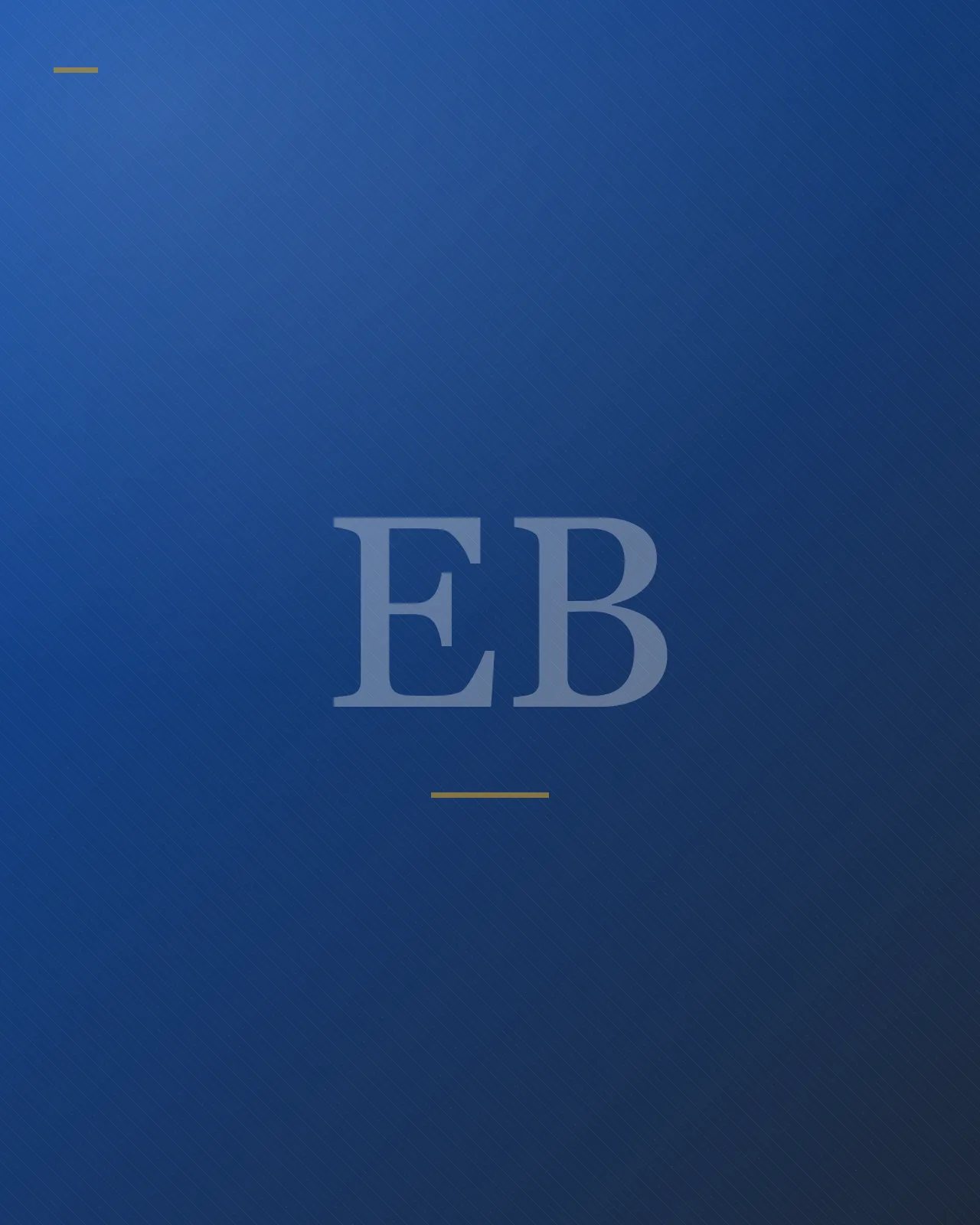 Brand artwork placeholder — Eyram Bashan